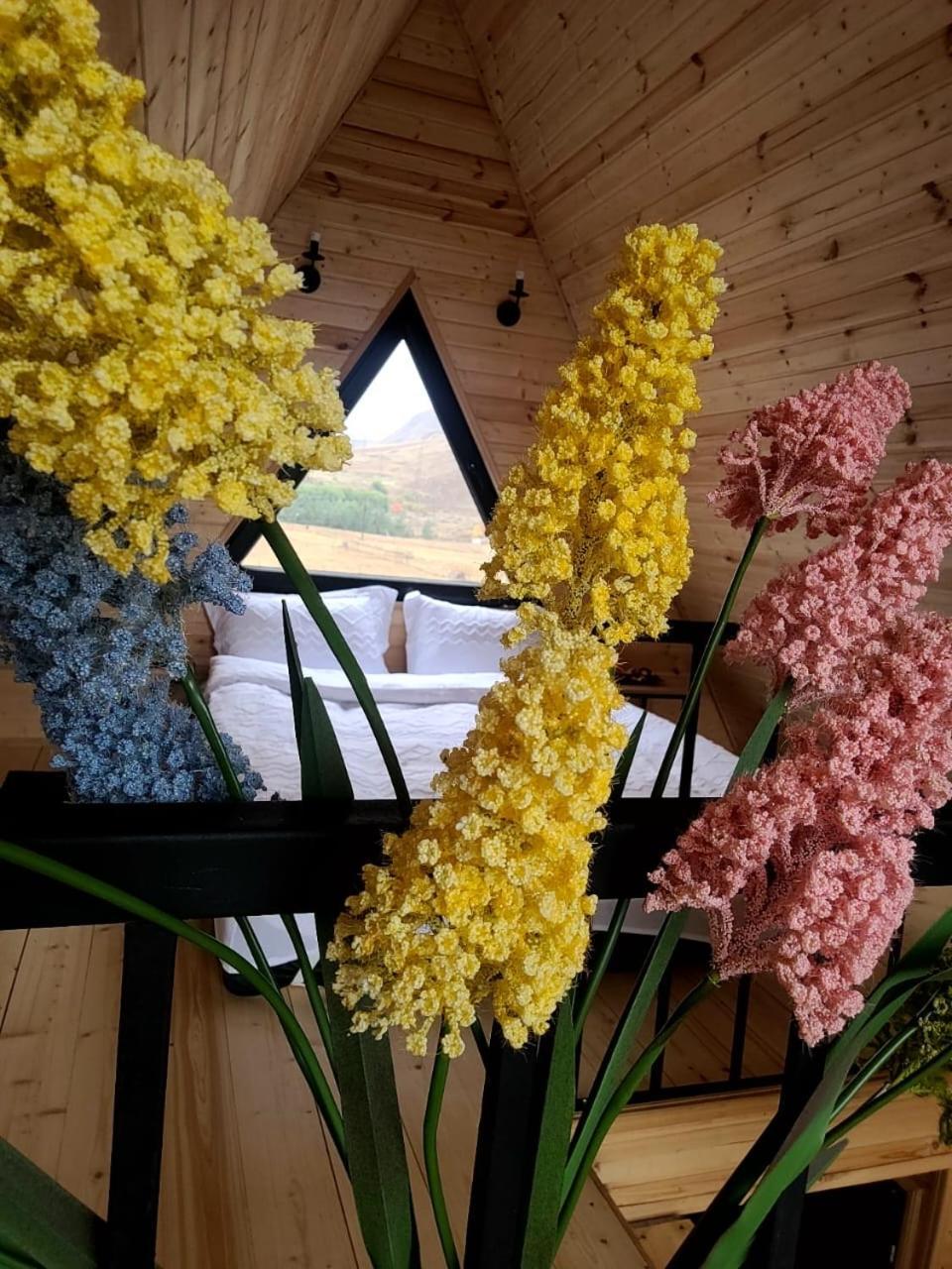 Mtisguli Cottages Stepancminda Zewnętrze zdjęcie