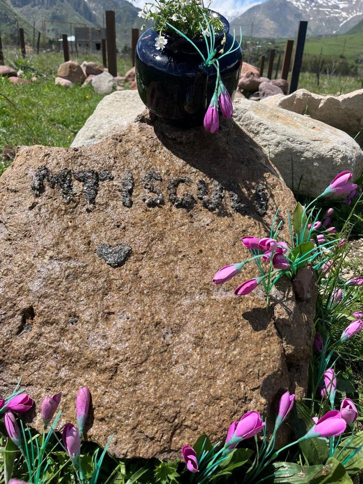 Mtisguli Cottages Stepancminda Zewnętrze zdjęcie