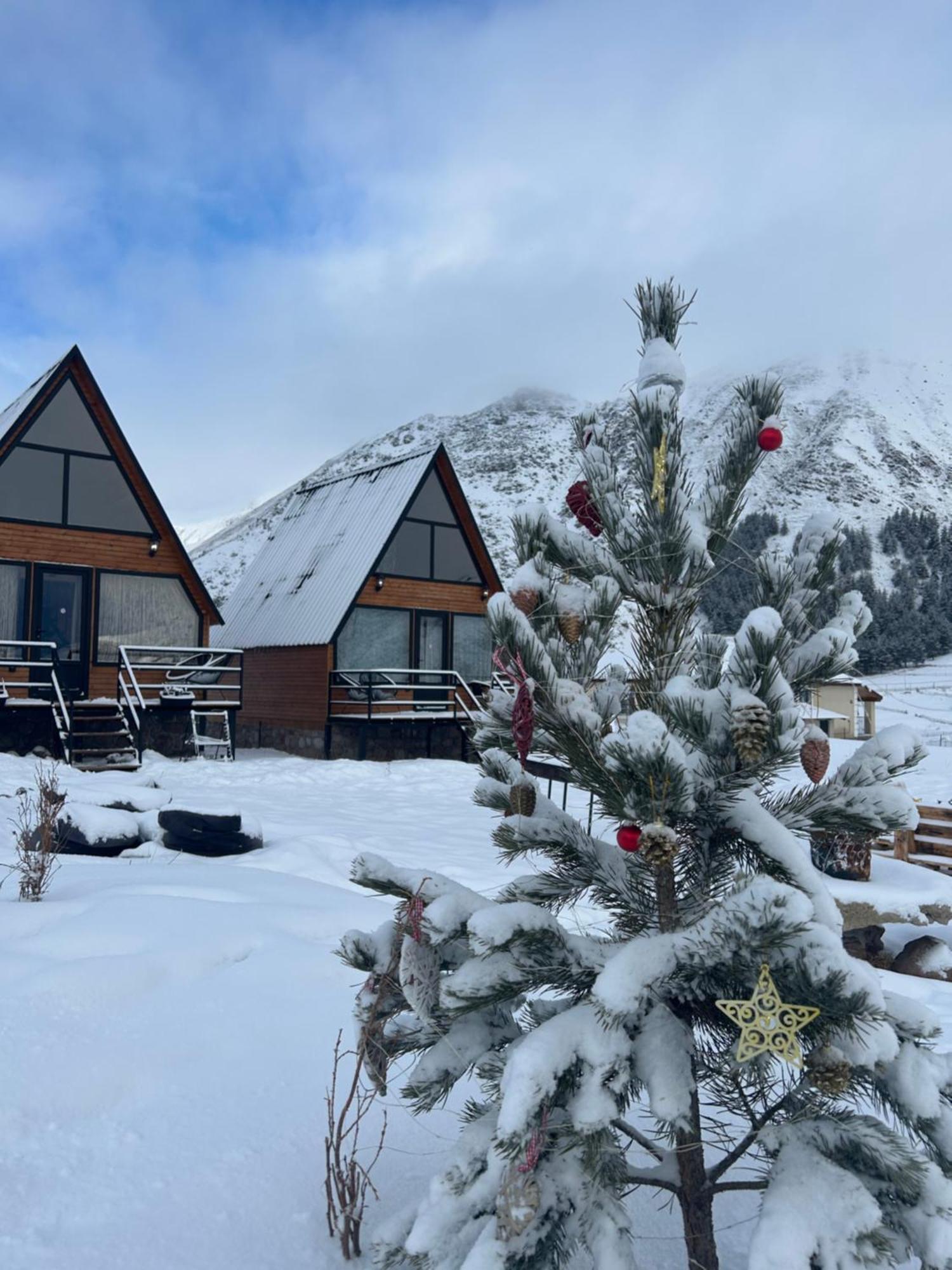 Mtisguli Cottages Stepancminda Zewnętrze zdjęcie